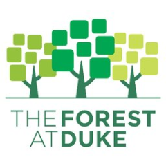 The Forest at Duke